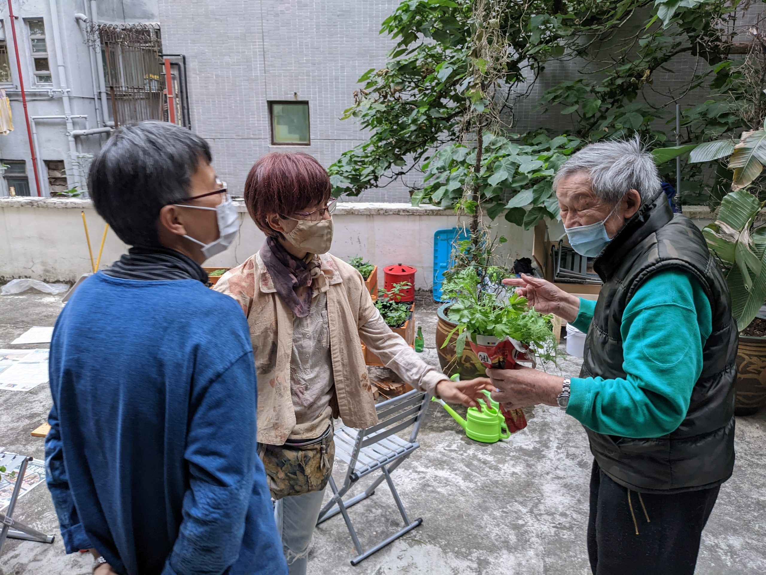 灣仔盆栽花卉展_03